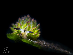 On the edge by Philippe Eggert 